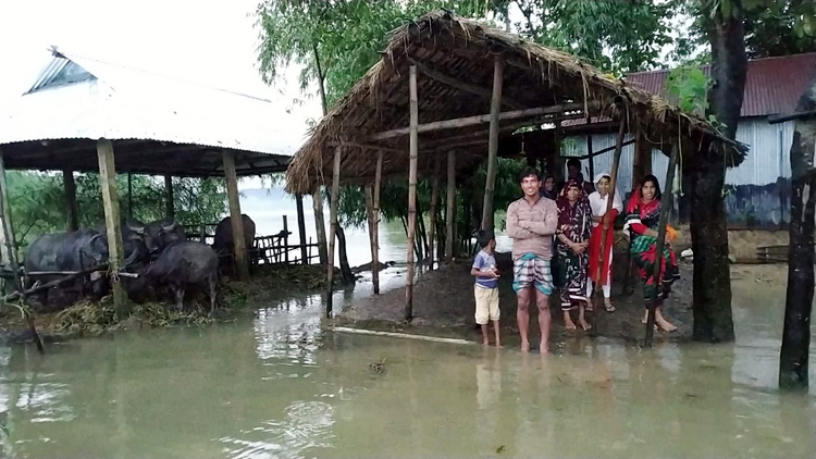 জৈন্তাপুর উপজেলায় অতিবৃষ্টি  পাহাড়ী ঢলে নিম্নাঞ্চল প্লাবিত