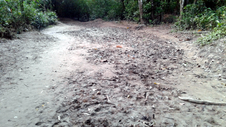 উন্নয়নের ছোঁয়া থেকে বঞ্চিত ছাতক দক্ষিণ খুরমা ইউনিয়নের শেওলাপাড়া