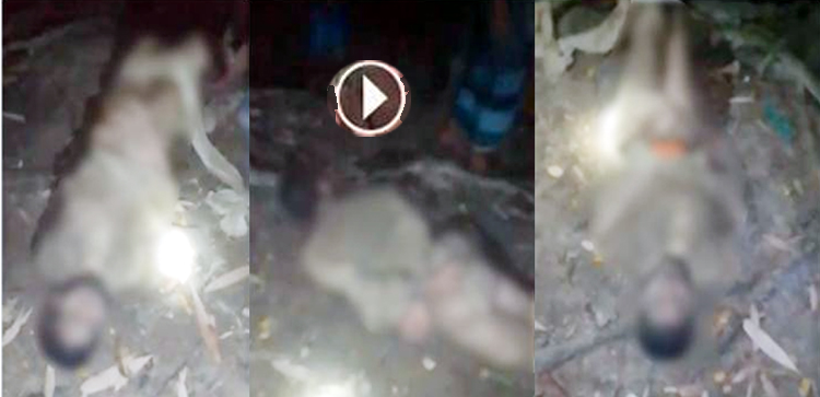 হবিগঞ্জে প্রেমিককে নির্যাতনের ঘটনায় গ্রেফতার ২