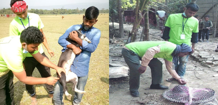 জলাতংক রোগ নির্মূলে গোয়াইনঘাটে কুকুরের টিকাদান