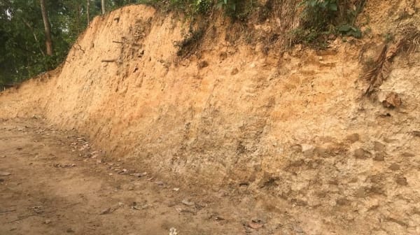 টিলাকাটার সময় হাতেনাতে আটক, জরিমানা