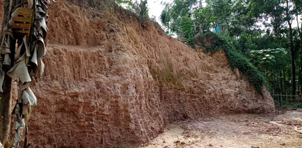 শাহপরাণ দাসপাড়ায় চলছে টিলা কাটার মহোৎসব : বেপরোয়া মুরগি মাসুক বাহিনী!
