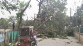 কালবৈশাখী ঝড়ে ৪ জনের মৃত্যু
