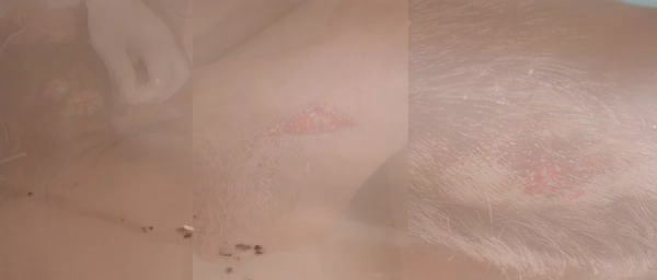 গোয়াইনঘাটে মাদক বিক্রেতার হামলায় যুবক রক্তাক্ত