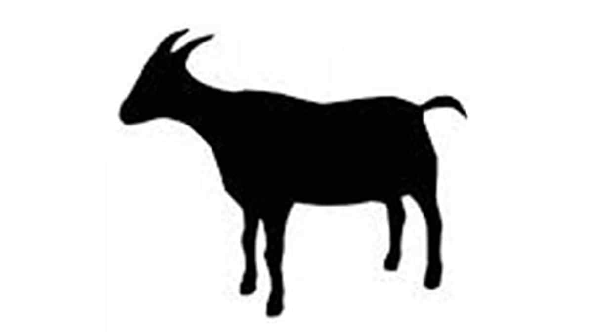 দুক্ষিণ সুরমা মাজারে দানের খাসি নিয়ে সংঘর্ষ : আহত ৫