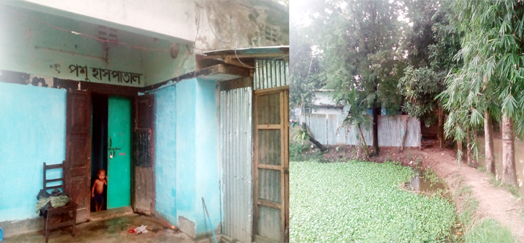 ছাতকে হাতুড়ে পশু ডাক্তার হুমায়ুনের খুঁটির জোর কোথায় ?