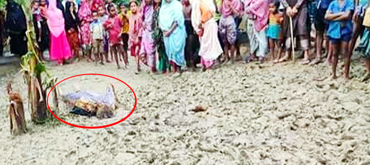 জৈন্তাপুরে পুকুর হতে মহিলার লাশ উদ্ধার