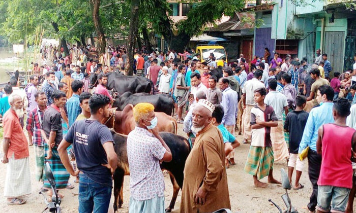 বিশ্বনাথে কঠোর লকডাউনে পশুর হাট 