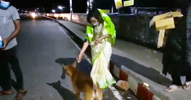 ক্ষুধার্ত কুকুরের প্রতি ভালোবাসা শিউলির