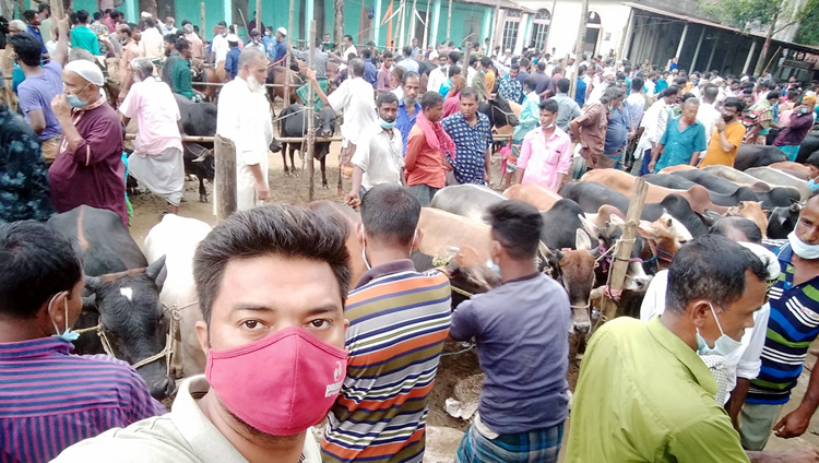 স্বাস্থ্যবিধি উপেক্ষিত : সিলেটের কাজিরবাজারে বাহারি রংয়ের গরুর সমাগম, নেই ক্রেতা