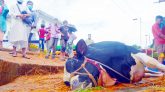 অতিরিক্ত গরমে সিলেটে হাটেই মারা গেল ১৬ মণ ওজনের গরু