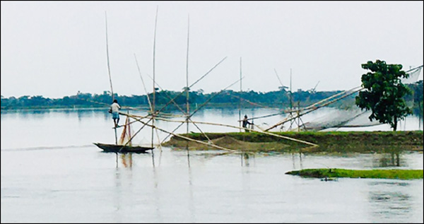 হাওরে মাছের সংকট : দুর্দশায় দিন কাটছে জেলেদের