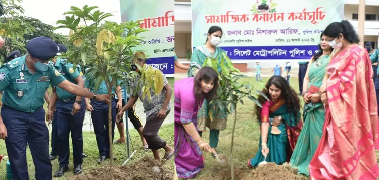 এসএমপি ও পুনাকের সামাজিক বনায়ন কর্মসূচি