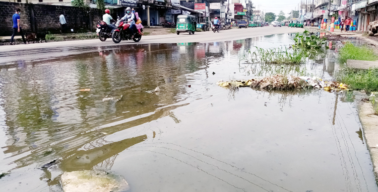 দক্ষিণ সুরমার লালাবাজারে ডেঙ্গু মশার আবাসন!