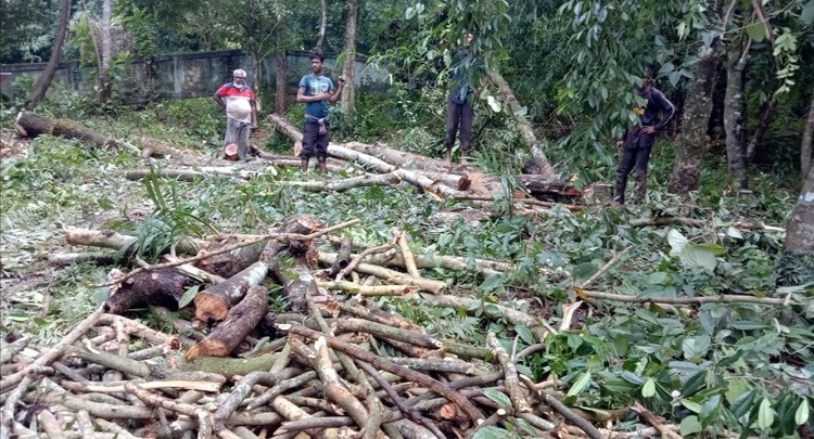বিশ্বনাথে কবরস্থান নিয়ে দু’পক্ষে উত্তেজনা!