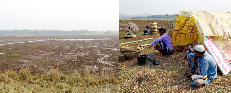 লাল শাপলা বিলে বেআইনীভাবে ৩০ লক্ষ টাকার মাছ শিকার : উদাসীন স্থানীয় প্রশাসন