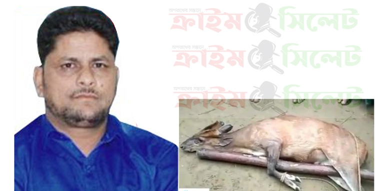 কানাইঘাটে চেয়ারম্যান তমিজ’র বিরুদ্ধে হরিণ জবাই করে মাংস খাওয়ার অভিযোগ