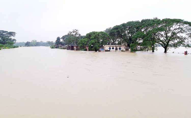বিশ্বনাথে বন্যার পানিতে ডুবে ৬ জনের মৃত্যু, নিখোঁজ শিশু