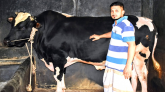 ‘হিরো আলম’, এর দাম ৮ লাখ