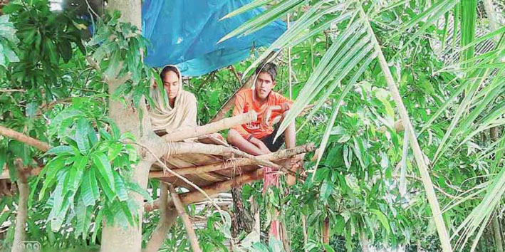 সুনামগঞ্জে বাড়ি-ঘর হারিয়ে ১৭ দিন থেকে গাছের ডালে এতিম ভাই-বোন!