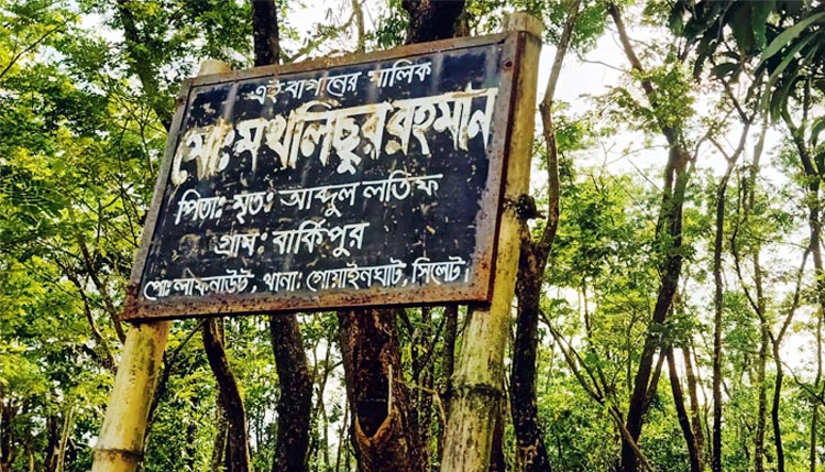 গোয়াইনঘাটে সন্ত্রাসী হামলা-লুটপাট, স্বস্ত্রীক আহত প্রবাসী