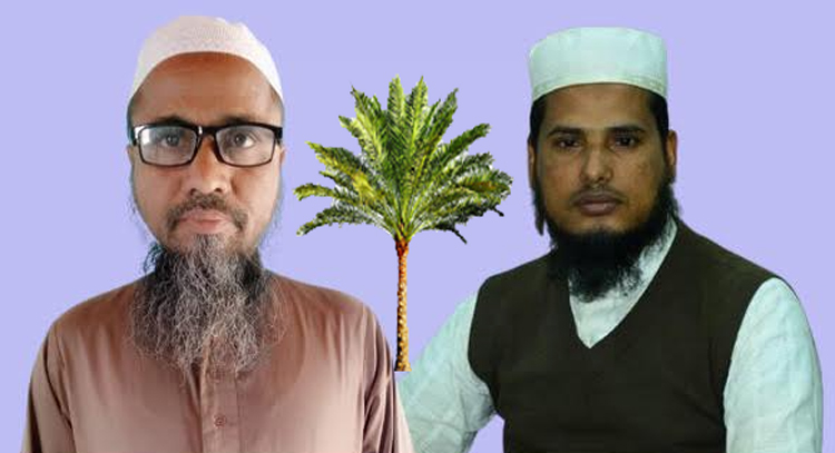 গোয়াইনঘাটে আলোচনায় দুই আলেমের খেজুরগাছ