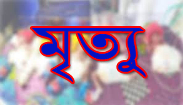 সিলেটে নার্স আসমা’র বেআইনী ডেলিভারী : গর্ভের দুই সন্তানসহ প্রসূতির মৃত্যু