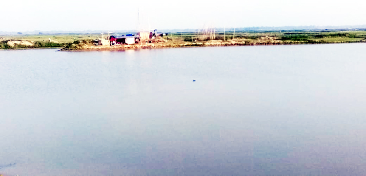 বিশ্বনাথের চাউলধনী হাওরে ফের সংঘাতের আশঙ্কা : মাছ নিধনের চেষ্টা