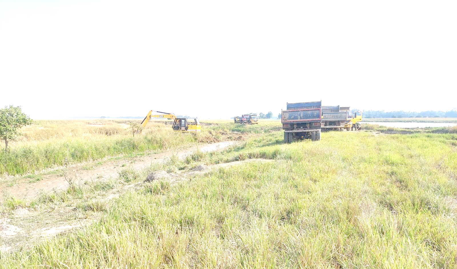 সদর ও গোয়াইনঘাটে ফসলি জমি থেকে মাটি কাটার ধুম : নিরব প্রশাসন