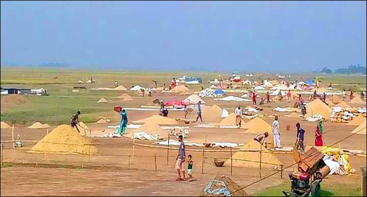 সুনামগঞ্জে কৃষকের মুখে রোদের হাসি