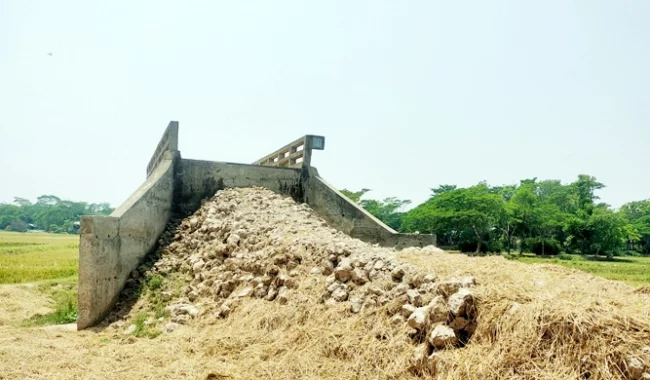 নিচু রাস্তায় উঁচু ব্রিজ: সরকার কা মাল দরিয়া মে ঢাল!