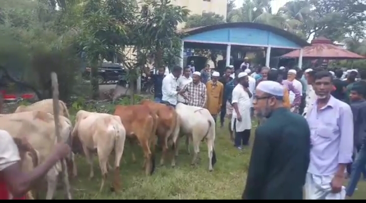 গোয়াইনঘাটে বিজিবির সহায়তায় টাক্সফোর্সের অভিযান : ৪০টি ভারতীয় গরু আটক