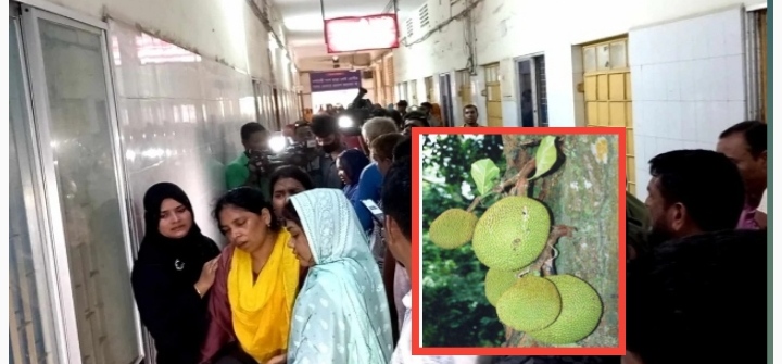 মসজিদের কাঁঠাল নিলাম নিয়ে দুই গ্রুপের সংঘর্ষ, নিহত ৩