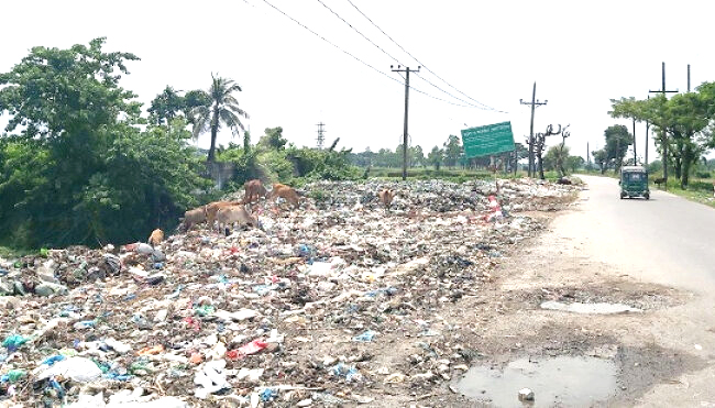 ময়লার দুর্গন্ধে জনজীবন অতিষ্ঠ!