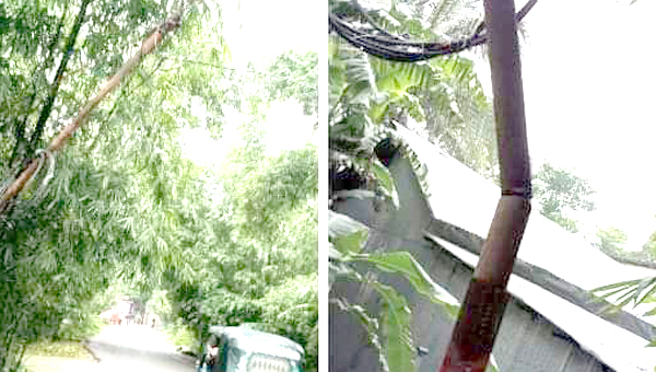 ছাতকে বিদ্যুতের ঝুঁকিপুর্ণ খুঁটি: কর্তৃপক্ষের অবহেলায় দুর্ঘটনার আশঙ্কা!