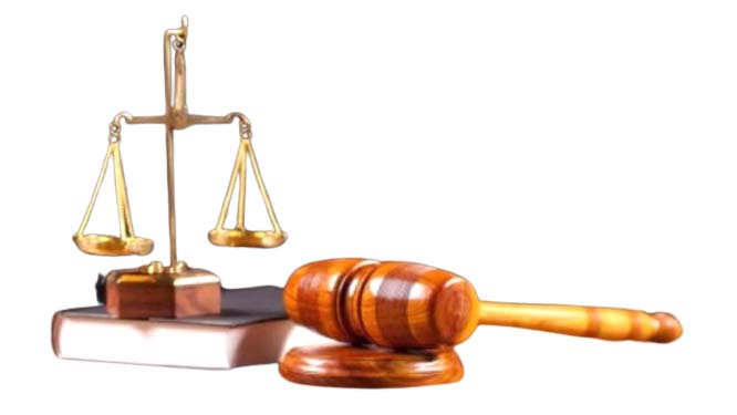 গাছ চুরির মামলায় তিন আসামির ৩ বছরের সশ্রম কারাদণ্ড!