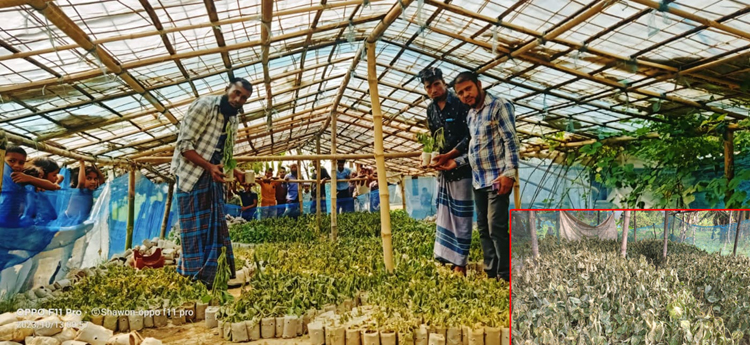 গোয়াইনঘাটে কৃষকদের সাথে দূর্বৃত্তদের এ কেমন বর্বরতা