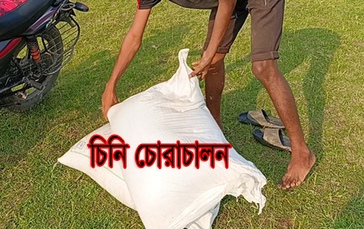 কোম্পানীগঞ্জ সীমান্তে লাইনম্যান শাহীন-জিতু চক্রের বেপরোয়া চাঁদাবাজি