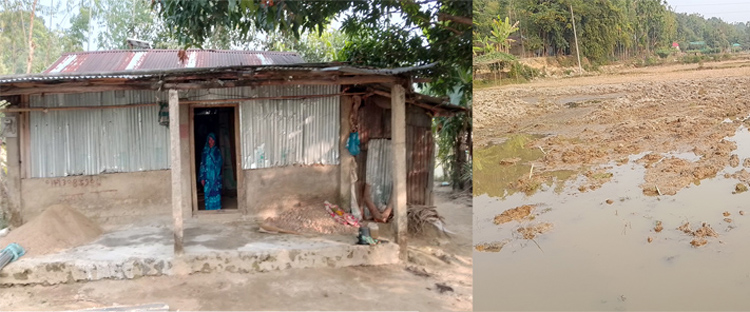 কানাইঘাটে ১৭ বছরের দখলীয় বাড়ি থেকে এক পরিবারকে উচ্ছেদের চেষ্টার অভিযোগ