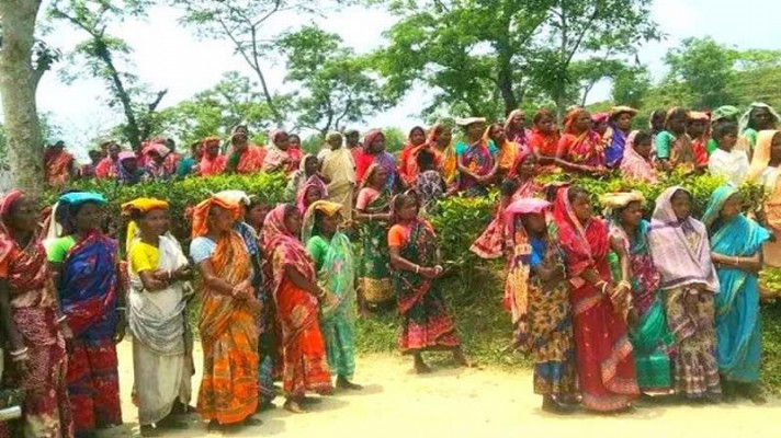 ফতেপুরে গুলনী চা বাগানের শ্রমিকদের মজুরি বন্ধ, মানবেতর জীবনযাপন