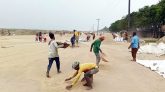 তাহিরপুরে চলছে ধান শুকানো আর গোলায় তুলার কাজ
