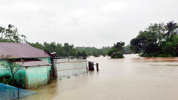পাহাড়ি ঢলে গোয়াইনঘাটের নিম্নাঞ্চল প্লাবিত, বন্যার শঙ্কা