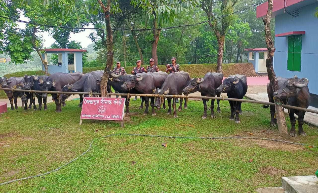 জৈন্তা সীমান্তে চোরাচালান অব্যহত : ৩ দিনে অর্ধ কোটি টাকার পণ্য জব্দ