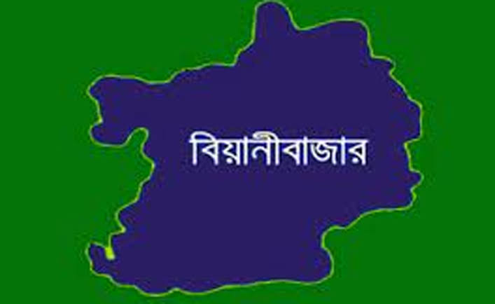 এনু মিয়া ও মকলিস উদ্দিনের সন্ত্রাসী কর্মকাণ্ডে আতঙ্কে মানুষ