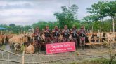 ভারতীয় চোরাই গরু ও মহিষের চালান আটক : ব্যবসায়ীদের বিরুদ্ধে ষড়যন্ত্র