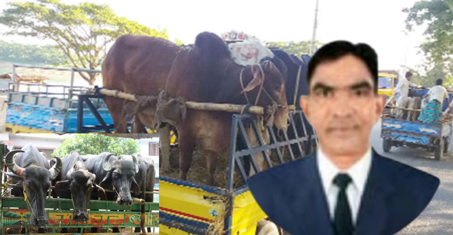 জৈন্তাপুর পশুর হাটে পুলিশের নামে বেপরোয়া চাঁদাবাজি: নেপথ্যে তথাকথিত লাইনম্যান ‘তরিকুল’