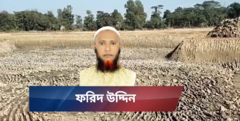গোয়াইনঘাটে ফরিদ চক্রের গ্রাসে ফসলি জমি: প্রশাসন নির্বিকার, মাটি যাচ্ছে ইটভাটায়