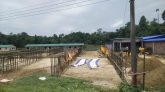 চিকনাগুলে ৭ দিনের অস্থায়ী পশুর হাট এক বছরেও বন্ধ হয়নি, উল্টো বাড়ছে সম্প্রসারণ