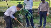 আখালিয়া ইউনিয়ন ভূমি অফিস প্রাঙ্গণে শতাদিক চারা রোপন কাজের শুভ সূচনা