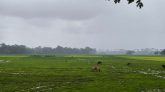 গোয়াইনঘাটে জমি দখল, হামলা ও প্রাণনাশের হুমকির অভিযোগে ৭ জনের বিরুদ্ধে আদালতে মামলা